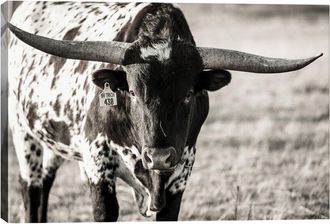 iCanvas Icanvas Longhorn Portrait By Tyler Stockton Wall Art