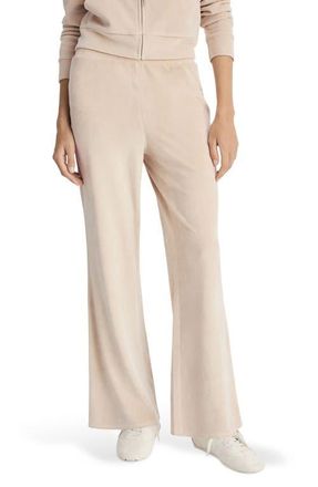 Mango Stretch Velour Pants in Light/Pastel Grey at Nordstrom, Size Medium