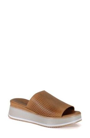 Diba Pa Cific Platform Sandal in Coconut at Nordstrom Rack, Size 37