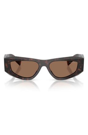 Prada 53mm Pillow Sunglasses in Root Tortoise /Dark Brown at Nordstrom