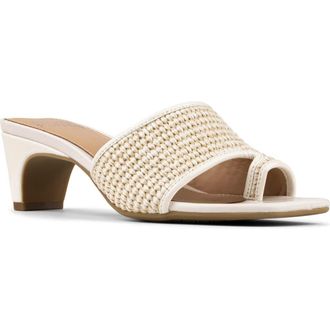 Donald J Pliner Dalayna Toe Loop Sandal in Bone at Nordstrom Rack, Size 5.5