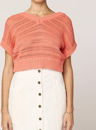 Cleobella Cece Crochet Sweater In Coral