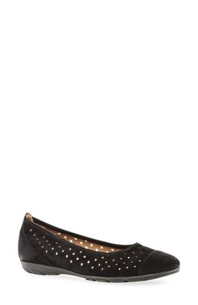 Gabor 44.169 Ballet Flat in Black at Nordstrom, Size 10Us