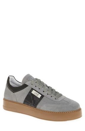 Roberto Cavalli Low Top Sneaker in Grey at Nordstrom Rack, Size 11.5