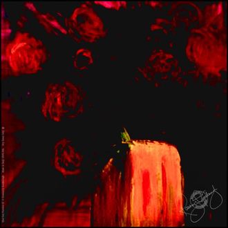 Rosemary Goodenough Mad Red Flowers IX Silk Scarf