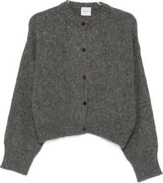 Alysi Zijde & Nylon Grijze Trui - Dames - Vesten - Grijs - M - Nylon - Truien & Vesten
