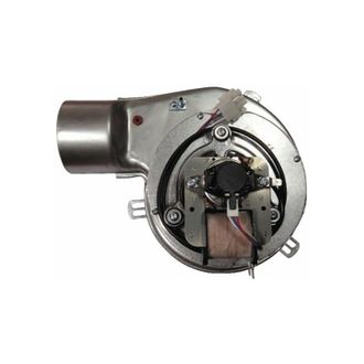 DIFF Eyewear Extractor De 50 W Pl21