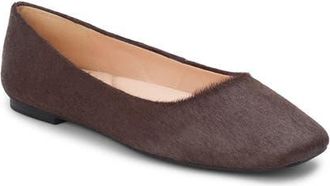 Matisse Footwear Phillip Ballet Flat in Coffee Calf Hair at Nordstrom, Size 7.5