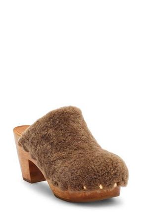 beek Woodpecker Clog in Bronze Shearling at Nordstrom Rack, Size 8