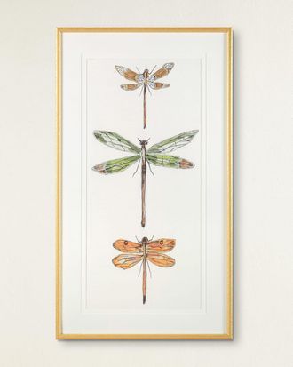 John-Richard Joyful Dragonflies II Giclee Wall Art by Joy Colangelo