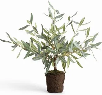 Napa Home & Garden Olive Green Plastic Tree Drop-In 17.5 at Nordstrom