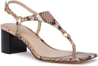 Paige Elara Ankle Strap Sandal in Tan Multi at Nordstrom, Size 10.5
