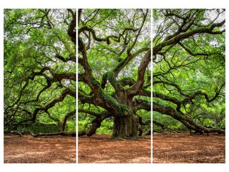 Schubiger M&ouml;bel Digitaldruck auf Glas Verzweigter Baum