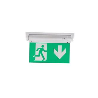 OEM Luz De Salida De Emergencia De Doble Cara De 3 W, Pictograma A Continuaci&oacute;n, Para Montaje En Techo O Pared