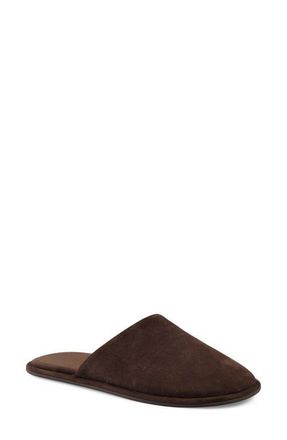 Artisan by Zigi Essexx Slipper in Brown Suede at Nordstrom, Size 10