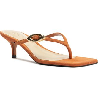 Schutz Miriam Slide Sandal in Earth Clay at Nordstrom, Size 10.5