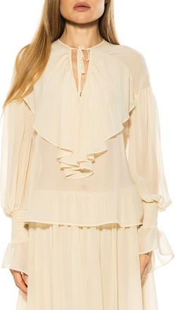 Alexia Admor Serelise Ruffle Top in Ivory at Nordstrom, Size X-Small