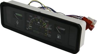 OEM Cuadro De Instrumentos Raico 5125046n