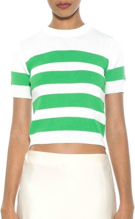 Alexia Admor Pat Stripe Short Sleeve Sweater Top in Ivory/Green at Nordstrom Rack, Size X-Small