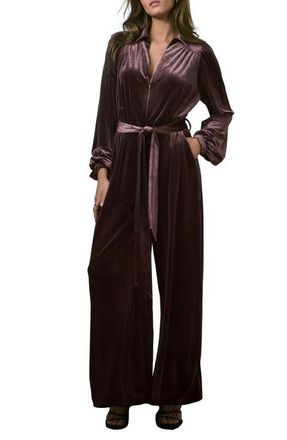 Next Long Sleeve Velvet Jumpsuit in Brown at Nordstrom, Size 10 Us