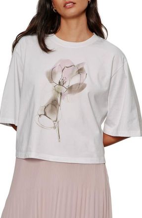 Sanctuary Belle Graphic T-Shirt in Wildline Blooms White at Nordstrom, Size X-Large