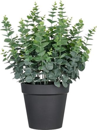Gasper Kunstpflanzen Eukalyptus im Kunststofftopf H: 70 cm