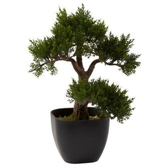 Nearly Natural 15-in Cedar Bonsai in Green at Nordstrom