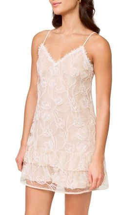 Rya Collection Holland Embroidered Chantilly Lace Chemise in Champagne at Nordstrom, Size X-Large