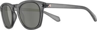 Alpina Sunbeam S3 Sonnenbrille - Unisex | grau