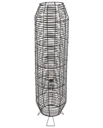 Safavieh Wilde 50In Floor Lamp