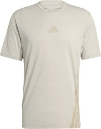 ADIDAS TERREX XPR Tee Funktionsshirt f&uuml;r Herren | beige