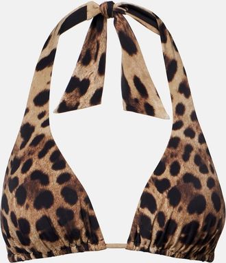 Dolce & Gabbana Leopard-print triangle bikini top
