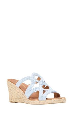 Andr&eacute; Assous Neena Espadrille Wedge Sandal in Sky Blue Raffia at Nordstrom, Size 10