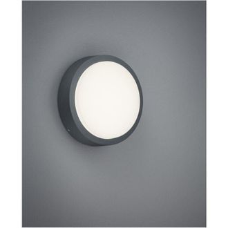 Trio Breg Plaf&oacute;n Para Exterior Antracita Ip54 &Oslash;20 Cm Lighting
