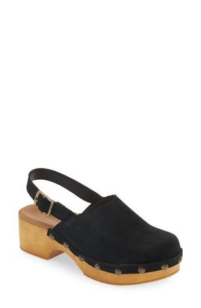 Cordani Wilkes Platform Clog in Black Suede at Nordstrom, Size 5.5Us