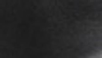 Eastland Laurel Leather Platform Wedge Sandal in Black at Nordstrom Rack, Size 10