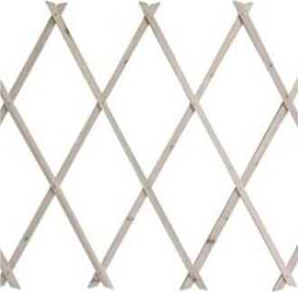 Trade Shop Trade Shop - Estensible Translation In Natural Legno Chiaro Piante Rampicanti Giardino 200x100cm 222734