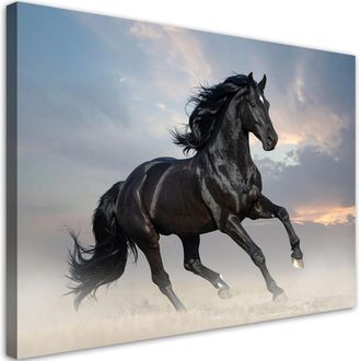 Feeby Impresi&oacute;n De Imagen, Caballo Negro Corriendo Animales, 100x70