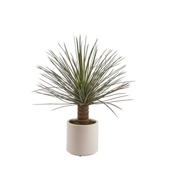 Schubiger M&ouml;bel Kunstpflanze Yucca H: 81 cm