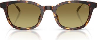 Moncler Lentis 50mm Gradient Phantos Sunglasses in Tortoise Dark Brown /Green at Nordstrom