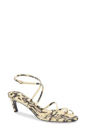 Proenza Schouler Uma Ankle Strap Sandal in Ivory at Nordstrom, Size 10.5Us
