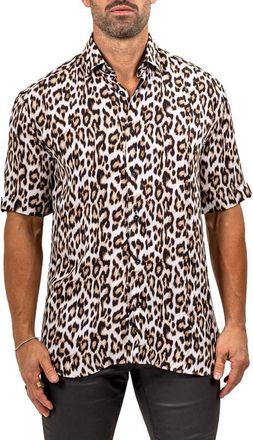 Maceoo Galileo Marthy Short Sleeve Button-Up Shirt in Brown at Nordstrom, Size 6