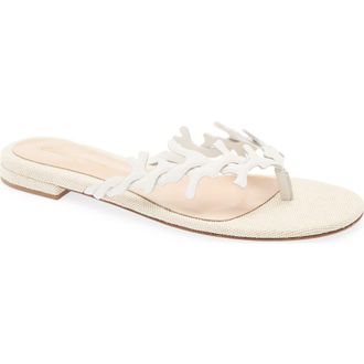 Gianvito Rossi Paros Sandal in Offwhite Naturale at Nordstrom, Size 10.5Us
