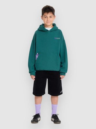 Volcom Fa Ben Sanaire Po Kids Hoodie groen