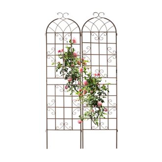 Relaxdays Relaxdays - Soportes Plantas Met&aacute;licos, Set 2, Enrejados Trepadoras, Para Enterrar, Gu&iacute;as Enredaderas 220x52x2 Cm, Marr&oacute;n