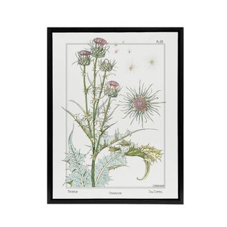 Artery8 Thistle Flower Framed Canvas Wall Art Print Vintage Floral Verneuil in White | Size: W24 x H32