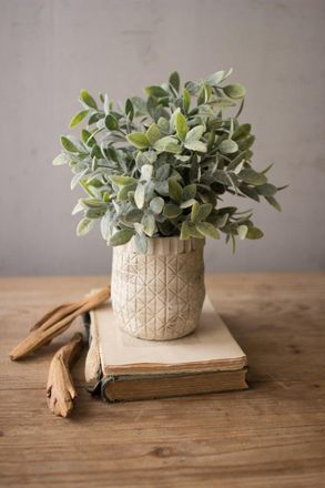 Kalalou Artificial Sage With Criss Cross Rustic White Pot