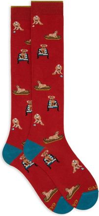 Gallo Gallo, Uomo, Mutande, Multicolore, M, new