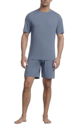 Eberjey Henry Stretch Tencel Modal Short Pajamas in Slate Blue at Nordstrom, Size X-Large