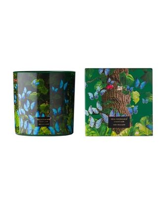 Vila Hermanos Vila Jungletropia Candle In A Jar in Blue Butterfly at Nordstrom, Size Large